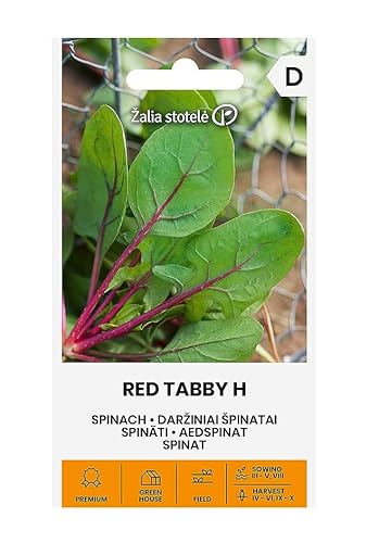 Zalia stotele | ESPINACA - RED TABBY H Semillas | Semillas de Hortalizas | Semillas de espinaca | semillas de plantas | semillas de jardín | 1 paquete Cover