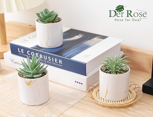 Miniatura 9 de Der Rose Paquete de 6 plantas suculentas y 3 paquetes de plantas falsas para decoración de escritorio de oficina en casa para mujeres