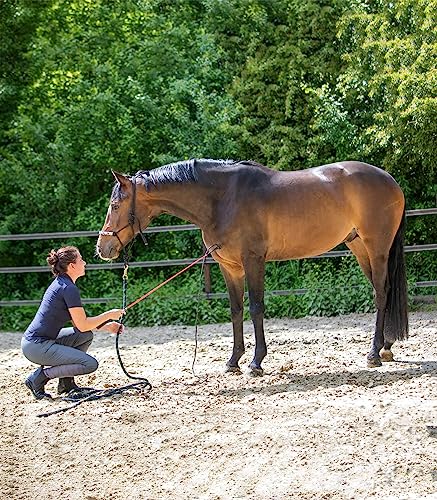 Waldhausen Kontaktstock, Rot/Schwarz
