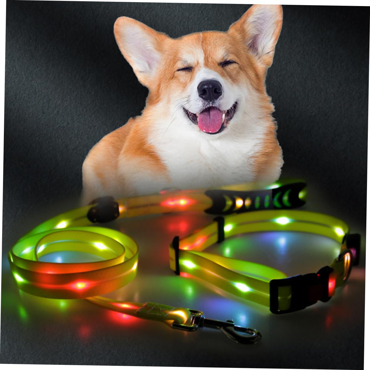 BESPORTBLE Laisse De Dressage pour Chien avec Corde De Traction Transport pour Animaux De Compagnie Corde Lumineuse Ceinture Extérieur