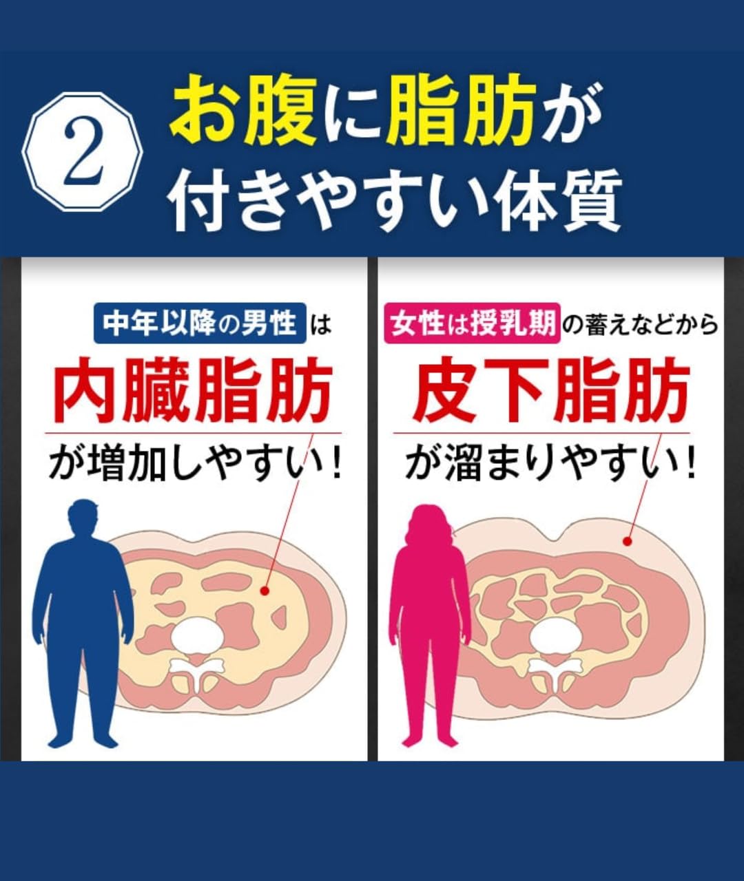 ウエストヘル　サプリ　5袋セット　新品未使用　機能性表示食品 Amazon | 30日分 ウエストヘル ブラックジンジャー サプリ お腹の脂肪