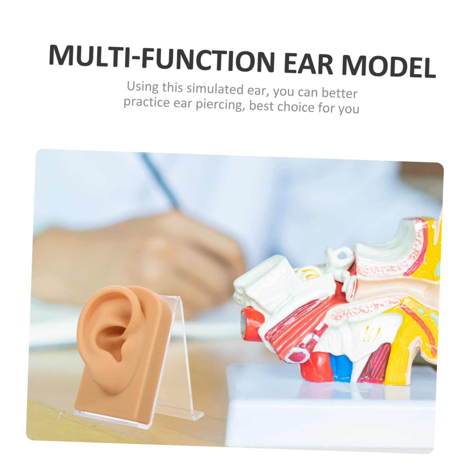 minkissy 2sätze Multifunktionaler Ohrmodell Für Ohrringe Dekorative Aufbewahrung Für Piercing-übungen Und Schmuckpräsentation Inklusive Acrylständer Langlebig Und Stabil