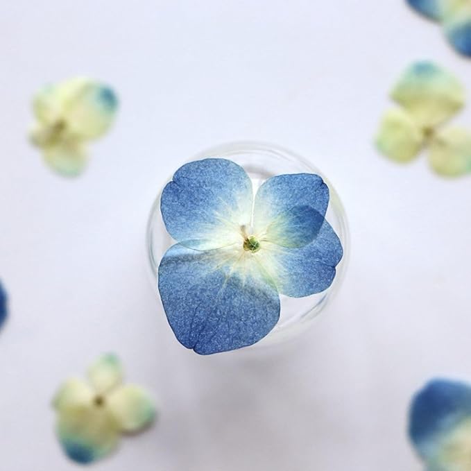 48 piezas flores secas prensadas para manualidades DIY miniatura 6