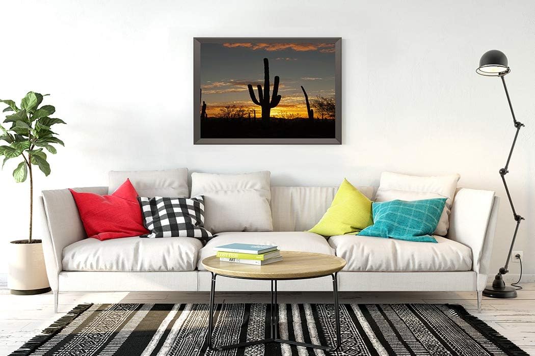 DIY 5D Diamond Painting Kit Saguaro Cactus Silhouette Vivid Sunset Tucson Arizona America Arid 16" X 20" Adult Full Drill Rhinestone Cross Stitch Art Crafts for Home Decoration