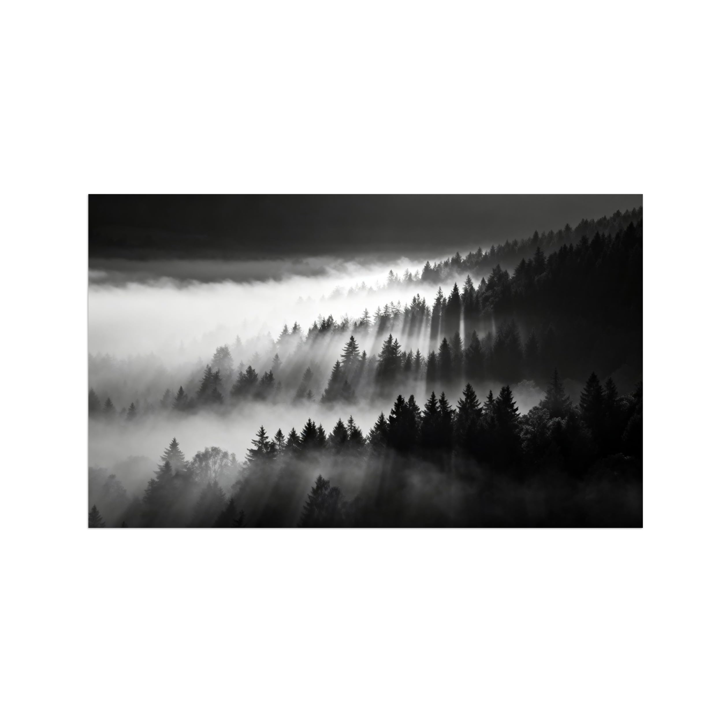 OZPWBVY Black and White Landscape Print Painting-Forest Clouds 4-Minimalist Canvas Wall Art Picture for Home Decor 24x39in 60x100cm Unframed
