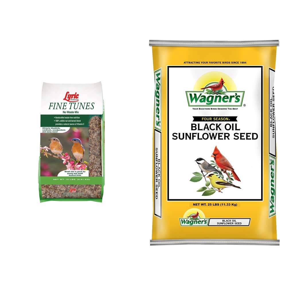 10 Best Black Oil Sunflower Bird Seed for Wild Birds Hummingbirds Plus