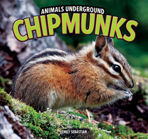Chipmunks (Animals Underground)