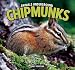 Chipmunks (Animals Underground)