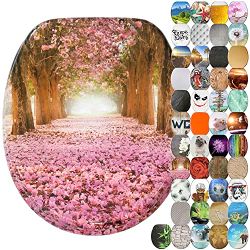 Sanilo Soft Close Toilet Seat, Wide Choice of New Toilet Seats, Stable Hinges, Easy to Mount (Romance), 47 cm L x 37.7 cm W