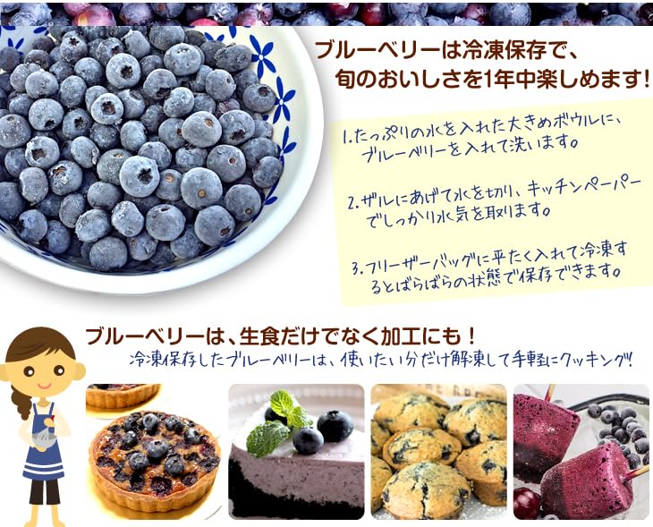 Amazon.co.jp: 果樹苗 ラビットアイ系ブルーベリー コロンブス