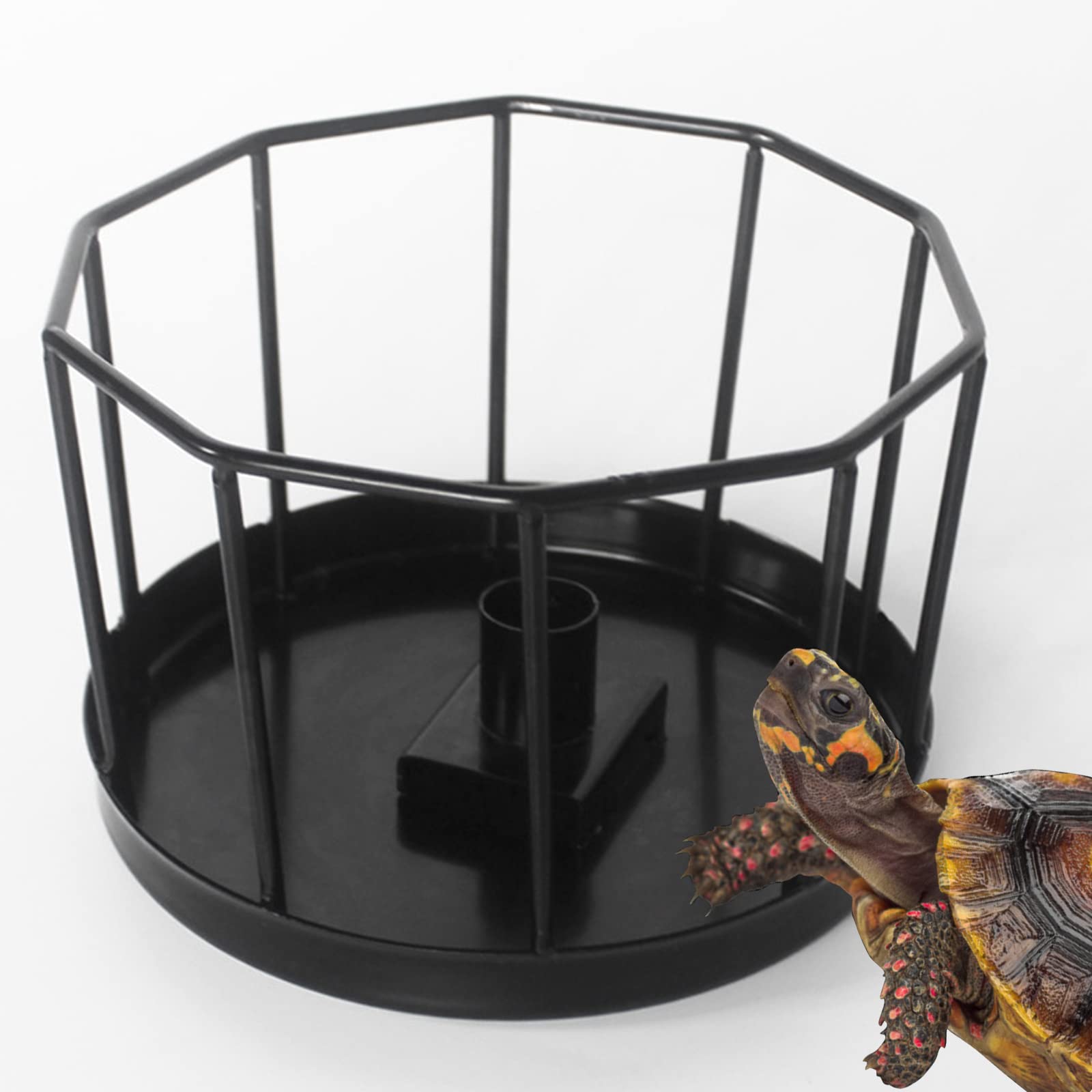 Amazon.co.jp: 爬虫類 自動給水器 ステンレス 水入れ カメ かめのえさ