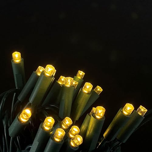 Miniatura 8 de Luces pequeñas de Navidad, serie para exteriores, para patio, jardín, fiestas y decoración de temporada, 50 luces LED, cable verde de 4.5 m