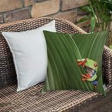 Housse de Coussin taies d'oreiller pour canapé-lit,décoratif,Décor animalier, Rainette aux yeux rouges se cachant dans une feuille ,Motifs imprimés Décoration de la Maison Housse de Coussin 45 x 45 cm