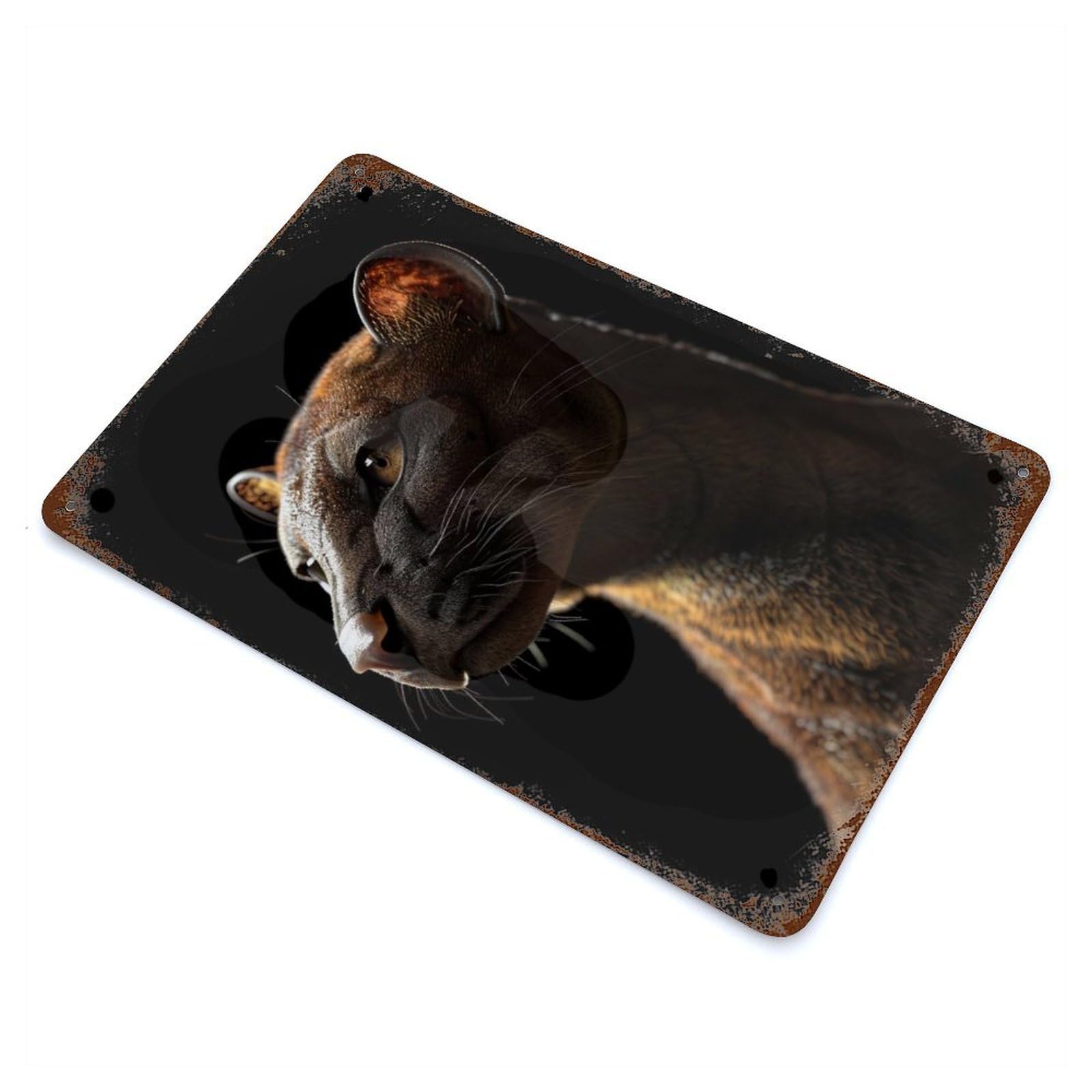 Vintage Rust Metal Sign Fossa 11.8"x7.9", Shabby Chic Decor for Cafe, Home Bar And Lounge Decor