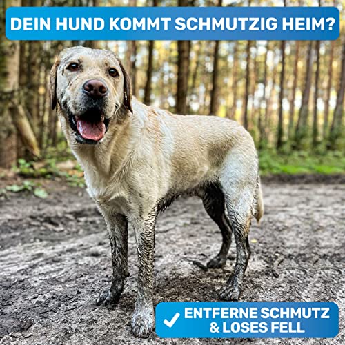 Hundestriegel BluePet Fellpflegebürste für Hunde und Katzen