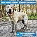 BluePet Weiche Badebürste Gummistriegel Für Kurzhaar Hunde & Katzen mit Massageeffekt I Entfernt loses Deckhaar, Staub & Schmutz I Idealer Badestriegel zum Einmassieren von Hundeshampoo