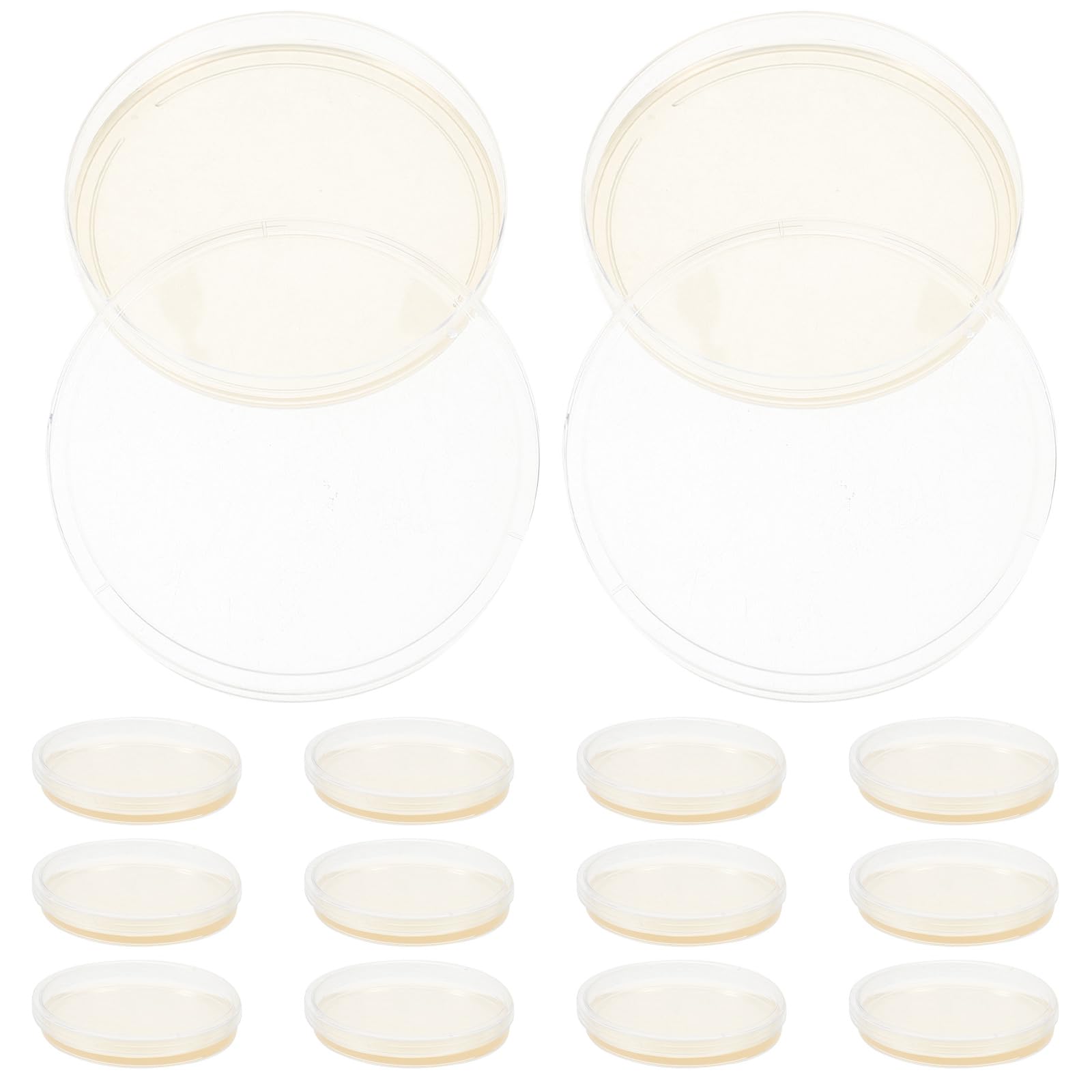 20 Placas de Petri Redondas de Ps Agar Nutritivo para Cultivo Estable de Hongos y Células, Embalaje Estéril Adecuado para Laboratorios Educativos Investigación