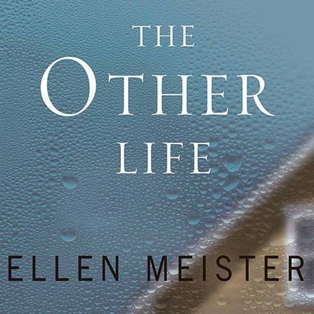 The Other Life Lib/E      Audio CD – Unabridged, February 23, 2011