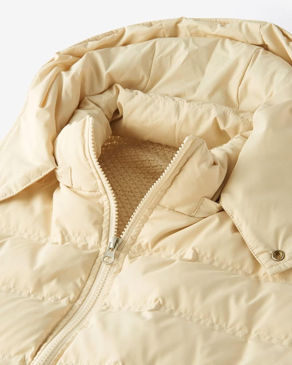 □初版□森山大道 犬の時間□付録ペーパー付□