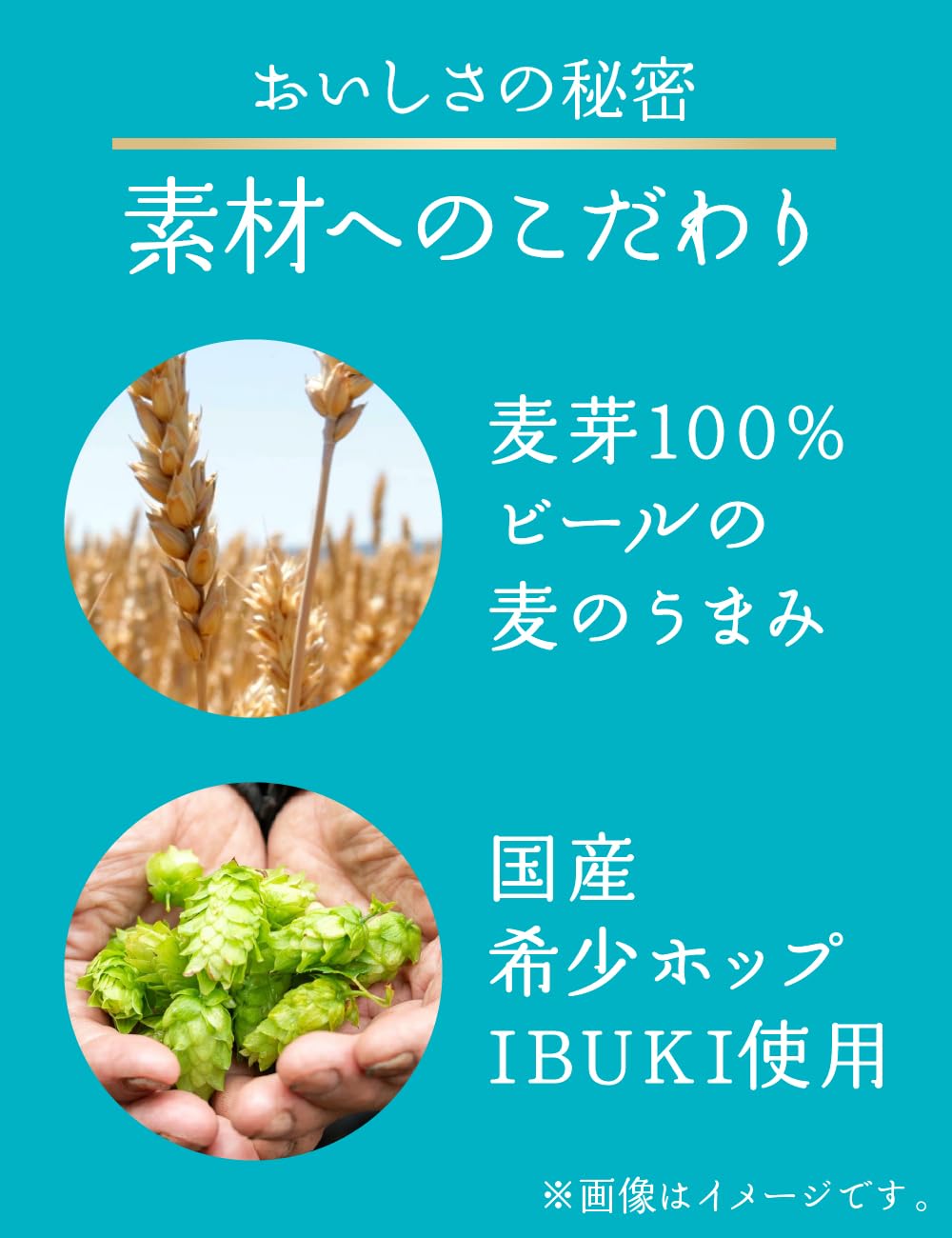 Amazon.co.jp: 晴れ風 キリン ビール500ml×6本 : 食品・飲料・お酒
