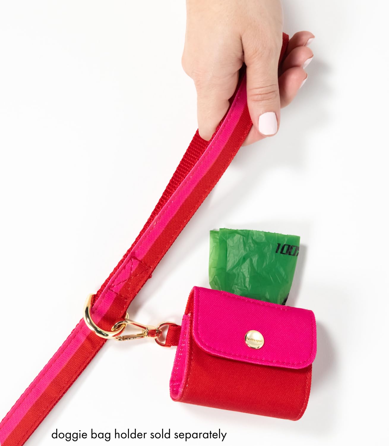 Kate Spade New York Guinzaglio per cani da 1,4 m, resistente, per cani femmine o maschi, grazioso guinzaglio per animali domestici con hardware in metallo dorato, guinzaglio lungo per cani di piccola