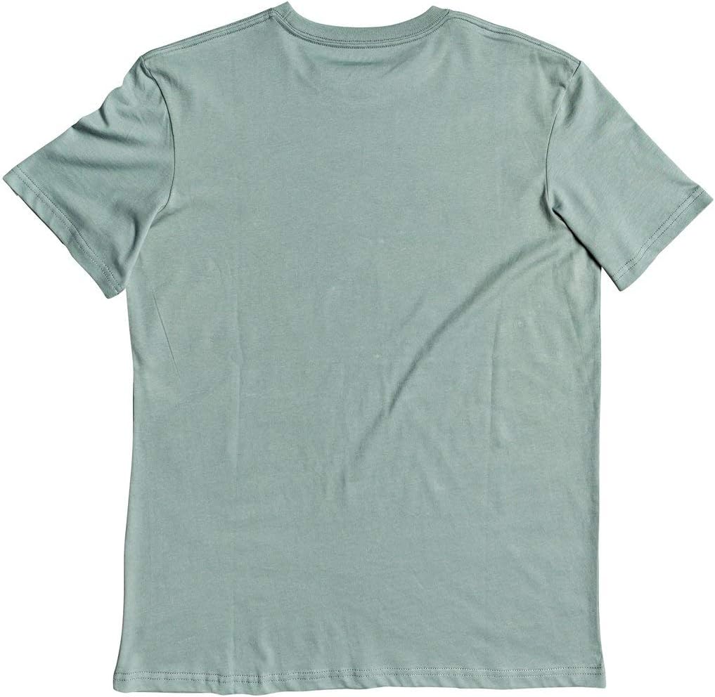 Quiksilver Words Remain Short Sleeve T-Shirt in Chinois Green