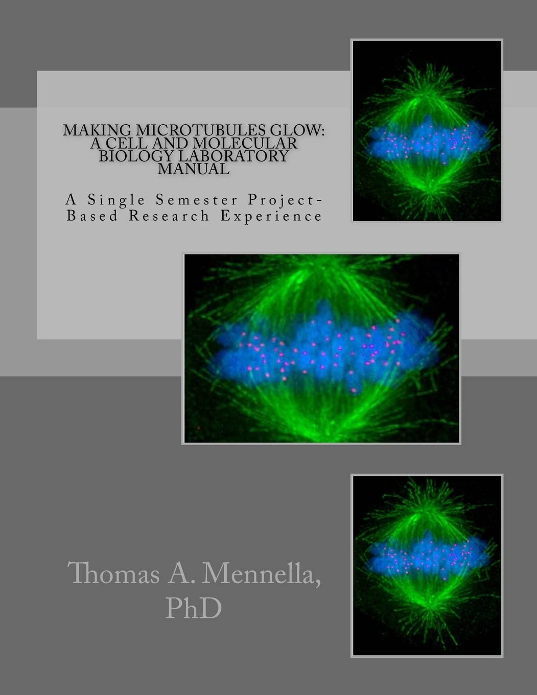 Making Microtubules Glow: A Cell and Molecular Biology Laboratory Manual: A Single Semester Project-Based Research Experience