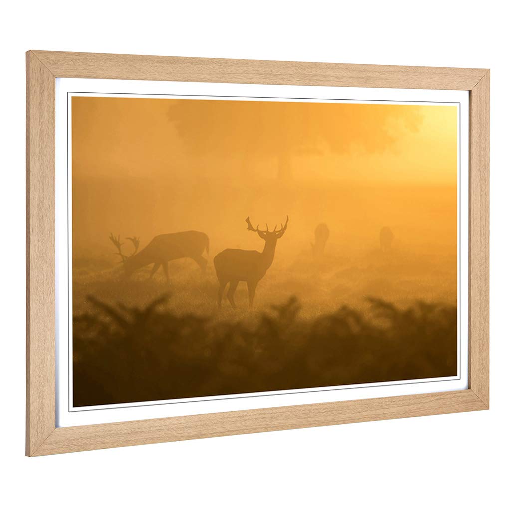 Big Box Art Framed Print of Stag Sunrise Landscape Design | Wall Art Picture | Home Decor for Kitchen, Living, Dining Room, Lounge, Bedroom, Hallway, Office, Oak, A2 / 24.5x18 Inch / 62x45cm