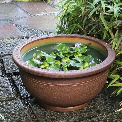 鉢□染付 丸紋 鳳凰 竹梅 唐草 三つ足 江戸後期 古 植木鉢 染付 骨董