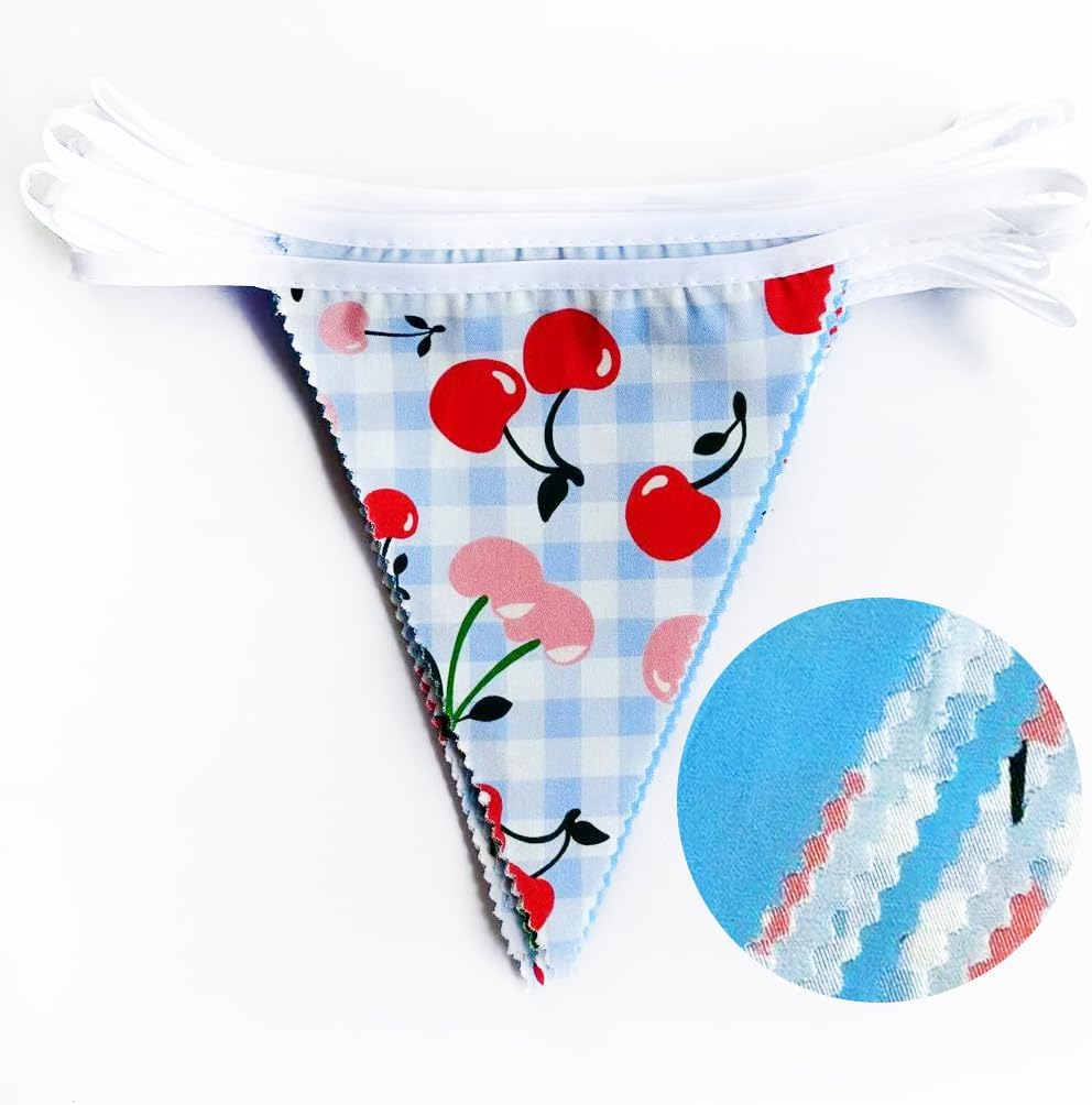 32Ft Blue Gingham Cheery Pennant Banner Fabric Triangle Flag Garland Streamers Party Decorations for Ma Cherie Cherry on Top Bachelorette Fruit Birthday Picnic Spring Garden Supplies image 2