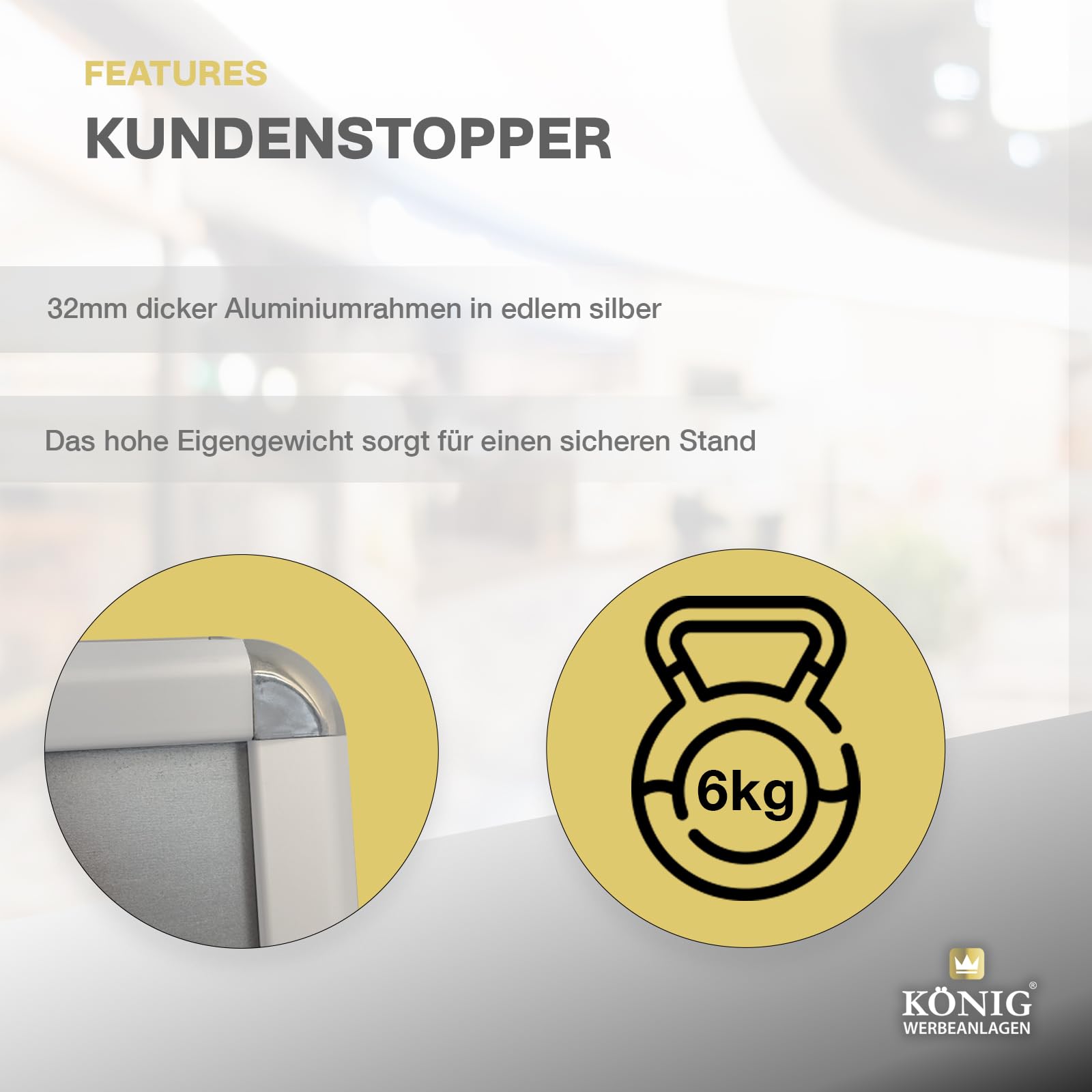 Dreifke Kundenstopper Keitum DIN A1 silber | beidseitig für 2 Plakate | Rückwand aus verzinktem Stahlblech | entspiegelte Schutzscheiben | wetterfester Plakatständer | Gehwegaufsteller Werbetafel