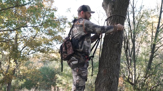 archery hunting gear Pine Ridge Hunt-n-Gear Equipment Hanger, Great to Hang Equipment on Trees, 3 Hooks Included : Sports & Outdoors 3602600012 Korb CORDULARIS groß | Farbe:Rot Camo The cams and modules