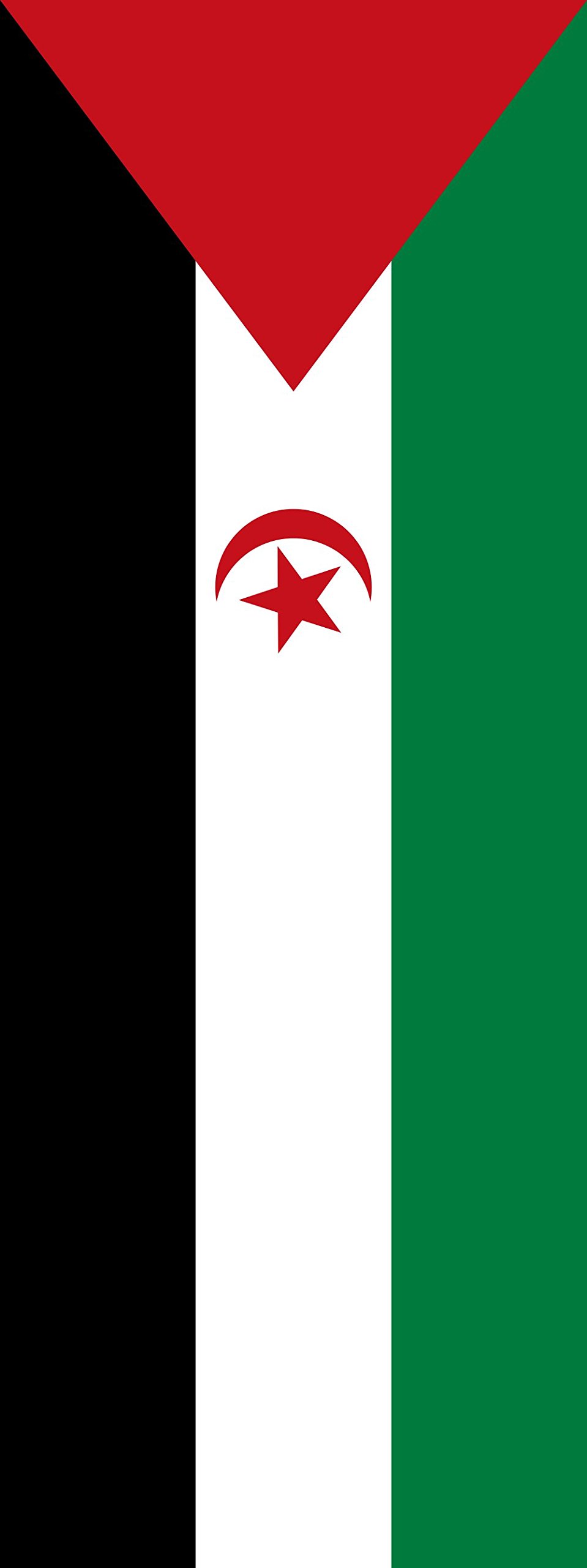 Drapeau Sahara occidental 400x150cm grand format 6m² visible de loin sans s'enrouler