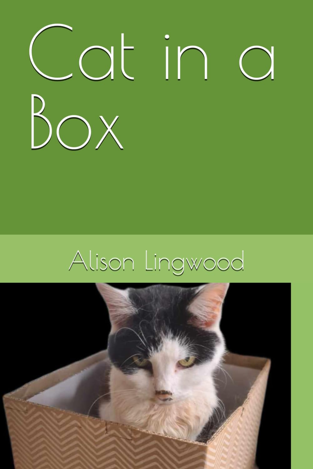 Cat in a Box