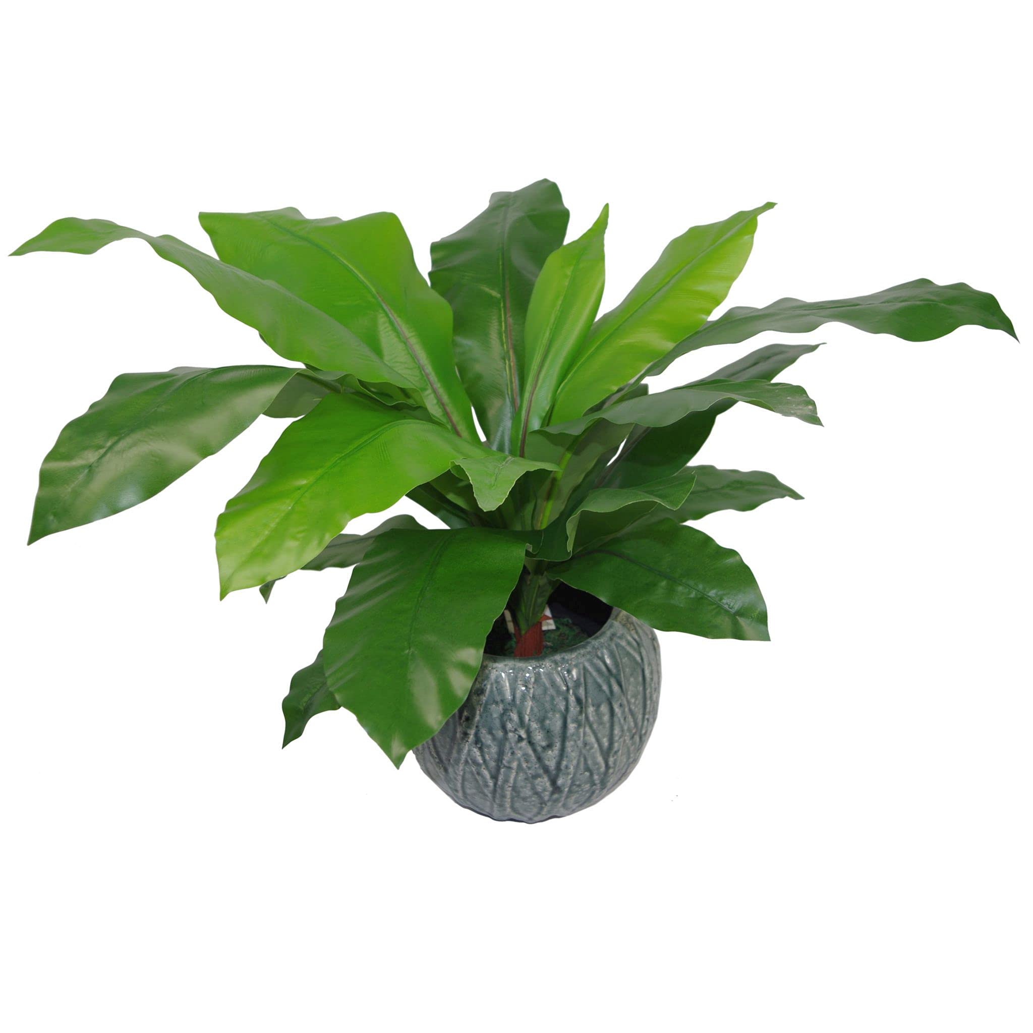 Tropical Artificial Plants 60Cm Dark Bushy Fern 2Ft Leaf from B&Q