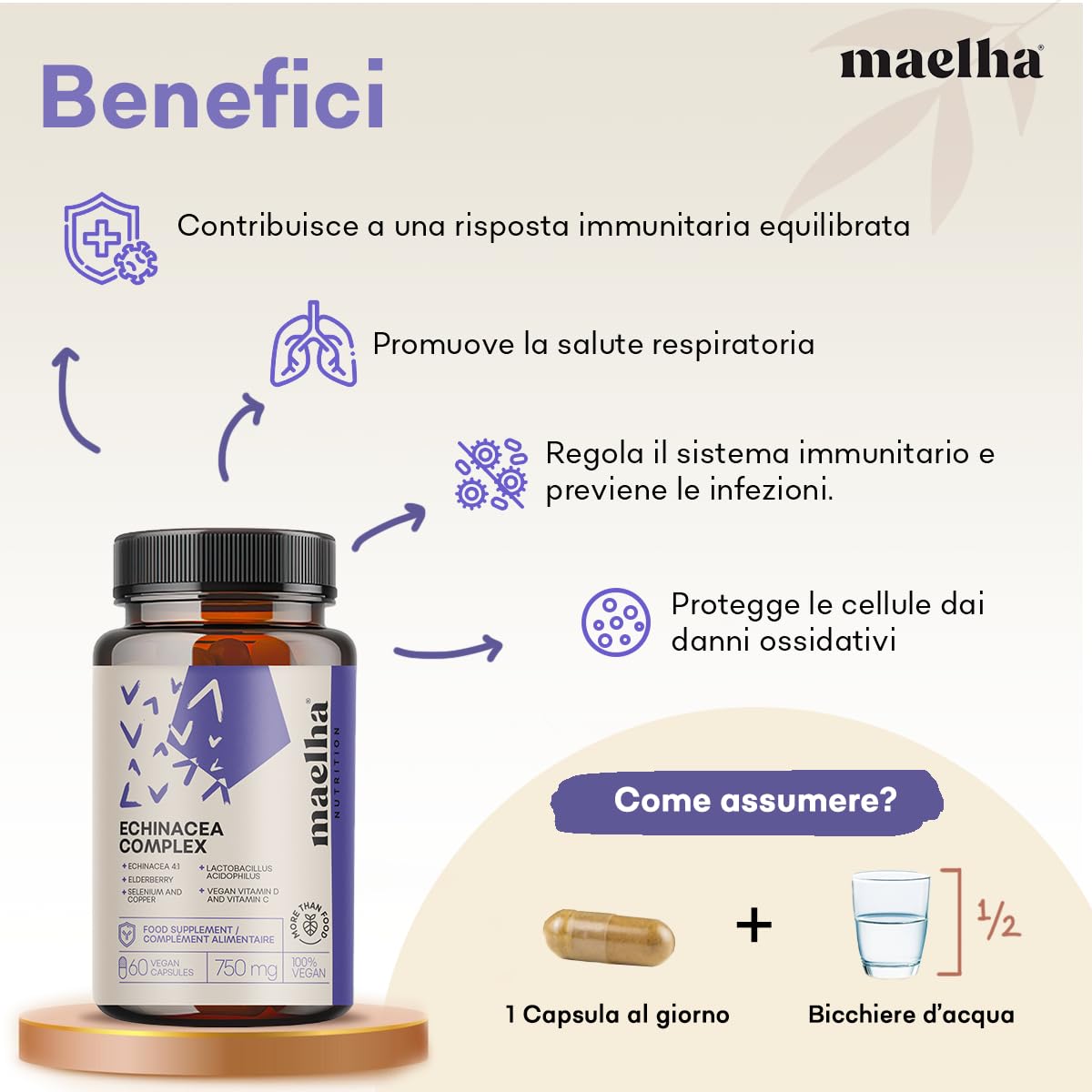 Echinacea Immuno Complex | Echinacea, ESTER-C, Beta-glucani, Sambuco, Vitamina D, Selenio, Rame, Lactobacillus acidophilus | Sistema immunitario | 60 Capsule | Integratore 100% Naturale