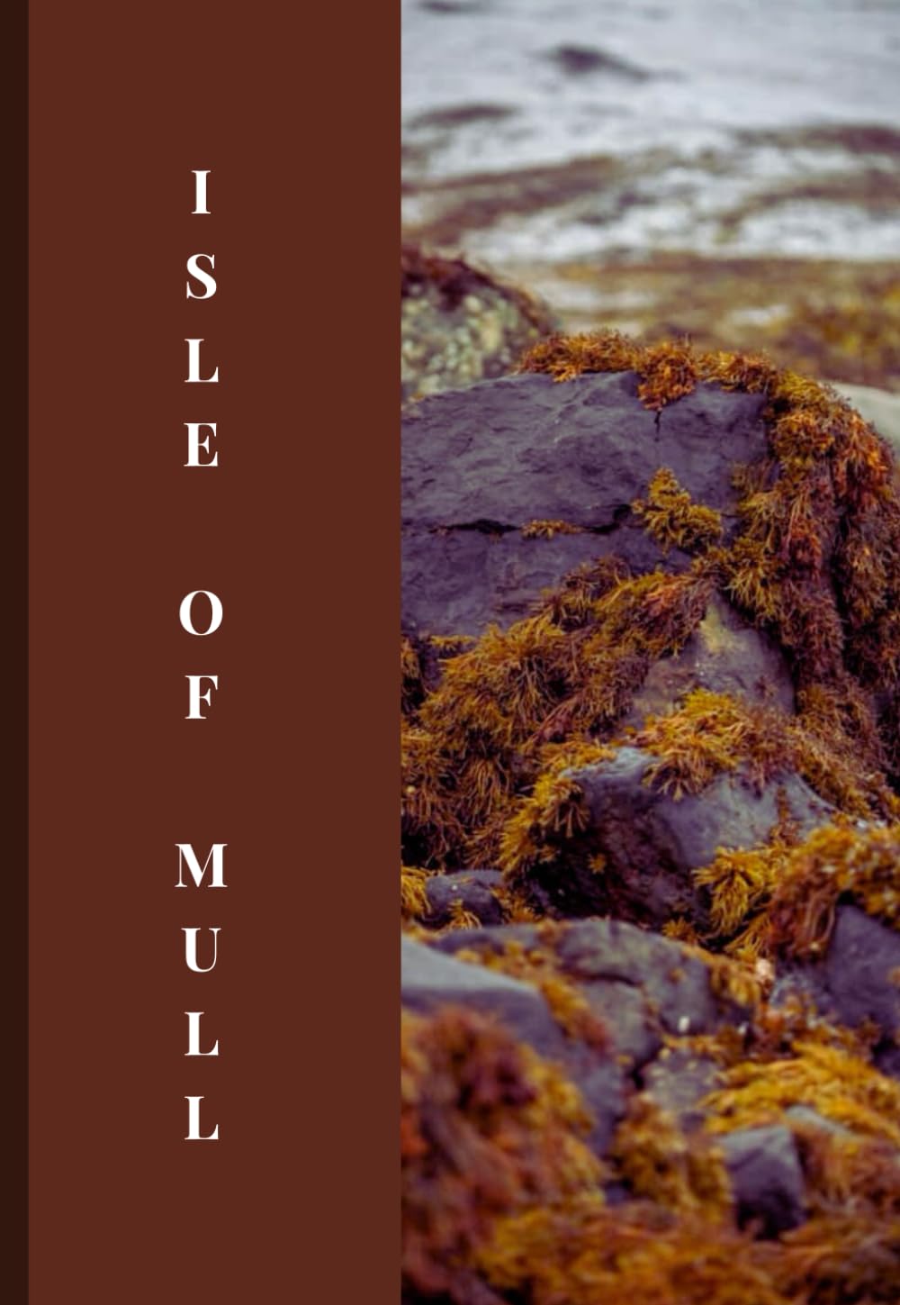 Isle of Mull Travel Guide 2025: “Embrace Stunning Wildlife, Scenic Views, and Charming Villages That Draw Visitors Year-Round”