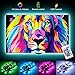 Price comparison product image LightingWill LED TV Backlights, 5V 1M/3.3ft USB Powered Bias Lighting Kits with RF Remote Controller (16 Colors and 4 Dynamic Modes),5050 RGB LED Strip Lights for HDTV,PC MonitorHome Theater