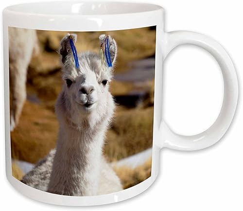 3dRose Argentina, Santa Rosa de los Pastos Grandes, llama - SA01 JRI0222 -. - Mugs (mug_85310_1)