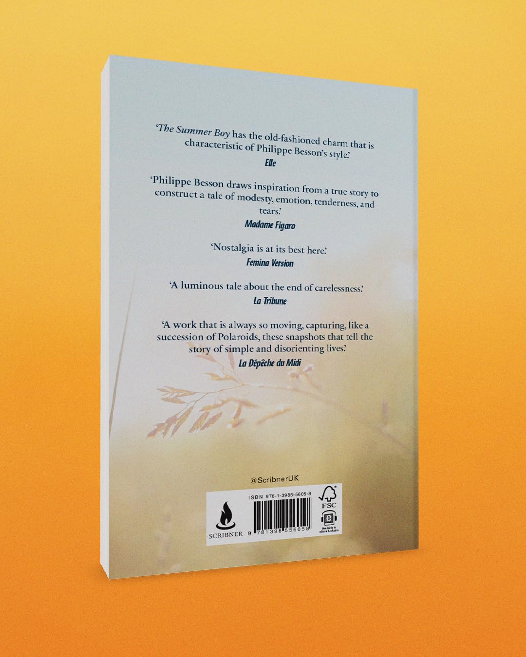 The Summer Boy: The essential literary beach read from the author of Lie With Me