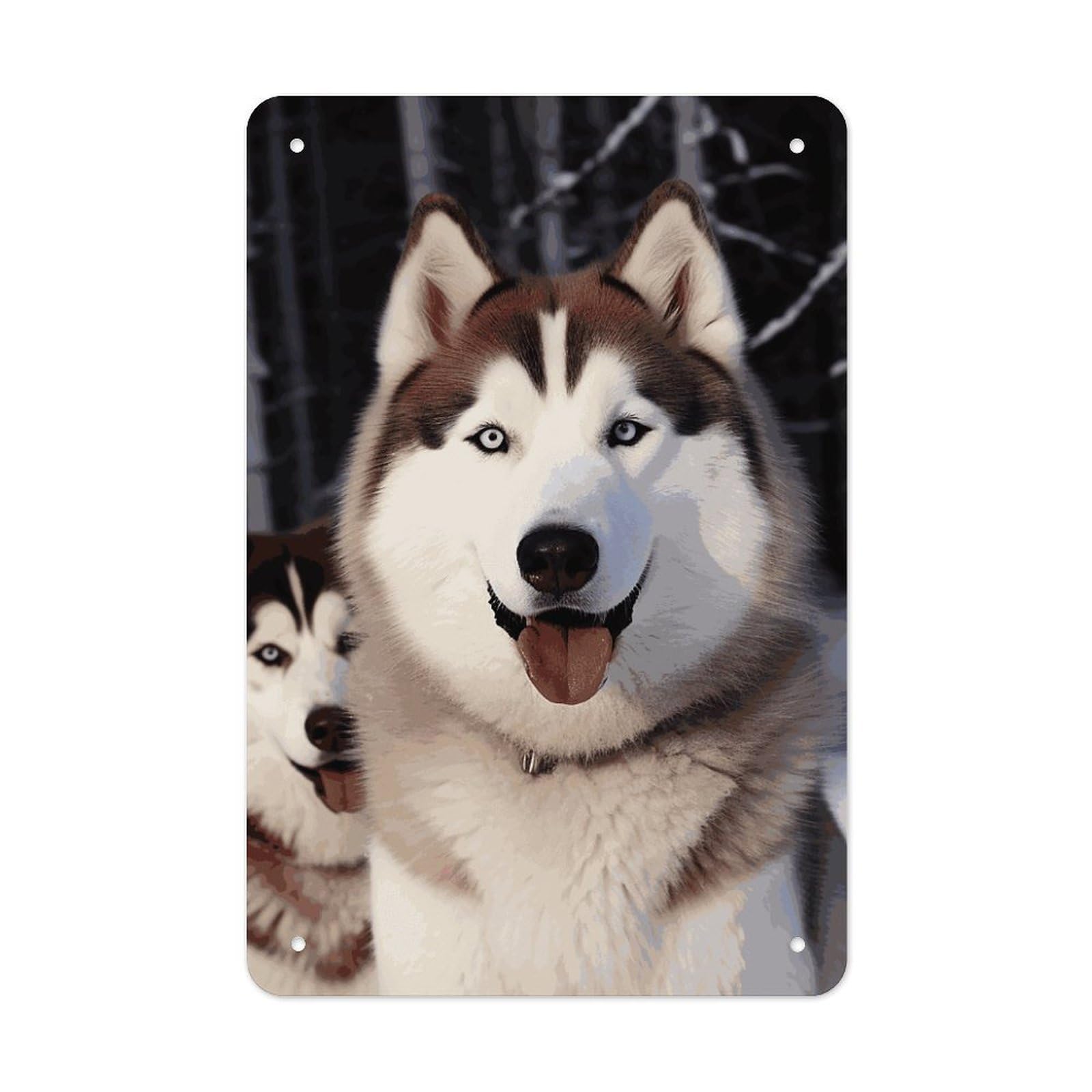QMNLKH Huskies Plaques for Wall Decor, Personalized Metal Tin Sign for Home, Multifunctional Poster for Office, Fashion Painting for Hallway, Wall Art Pictures, 7.9x11.8Inch