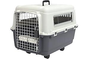 SportPet Designs Medium Plastic Rolling Dog Kennel