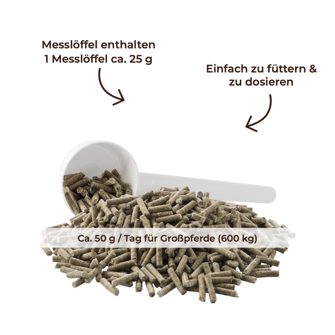 MIGOCKI Magnesium für Pferde Futterergänzung pelletiert 1,5 kg