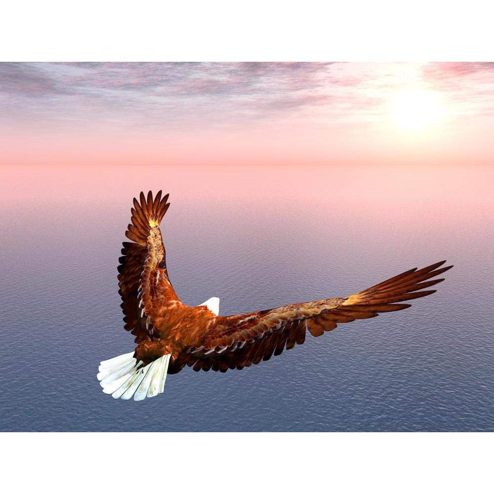 ArtzFolio Sea Eagle | Unframed Premium Canvas Painting for Bedroom & Living Room | 21.3 x 16 inch (54 x 41 cms)