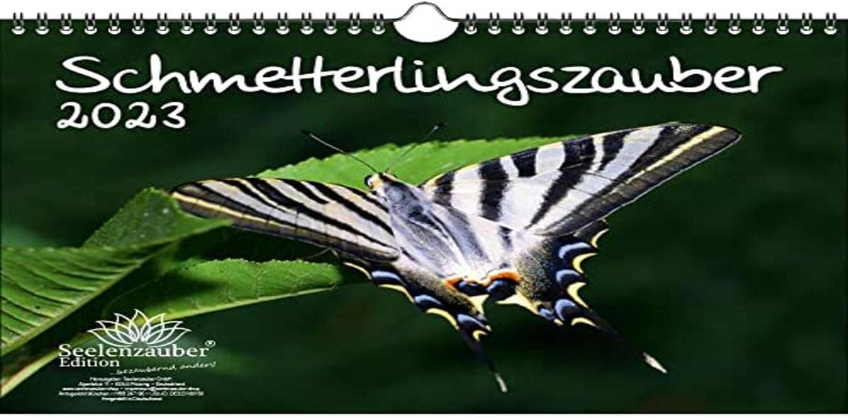 Schmetterlingszauber für Groß und Klein: Kostenlose Ausmalbilder, die Freude schenken!