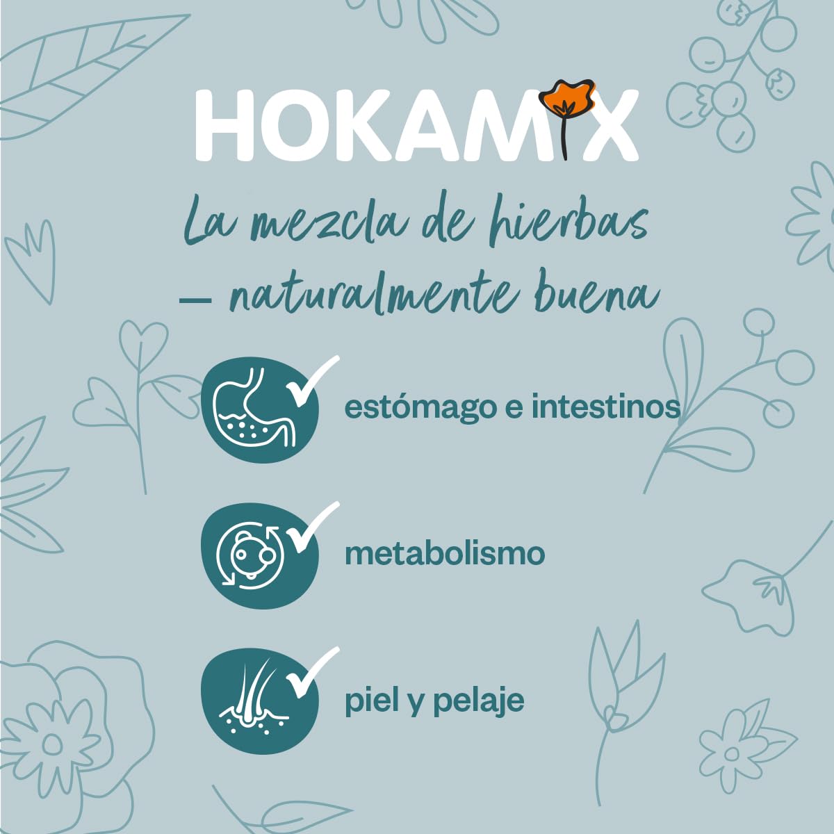 GRAU – el Original – Hokamix Vitality Booster Snack Mini, Paquete de 1 (1 x 4,5 kg), alimento complementario para Perros
