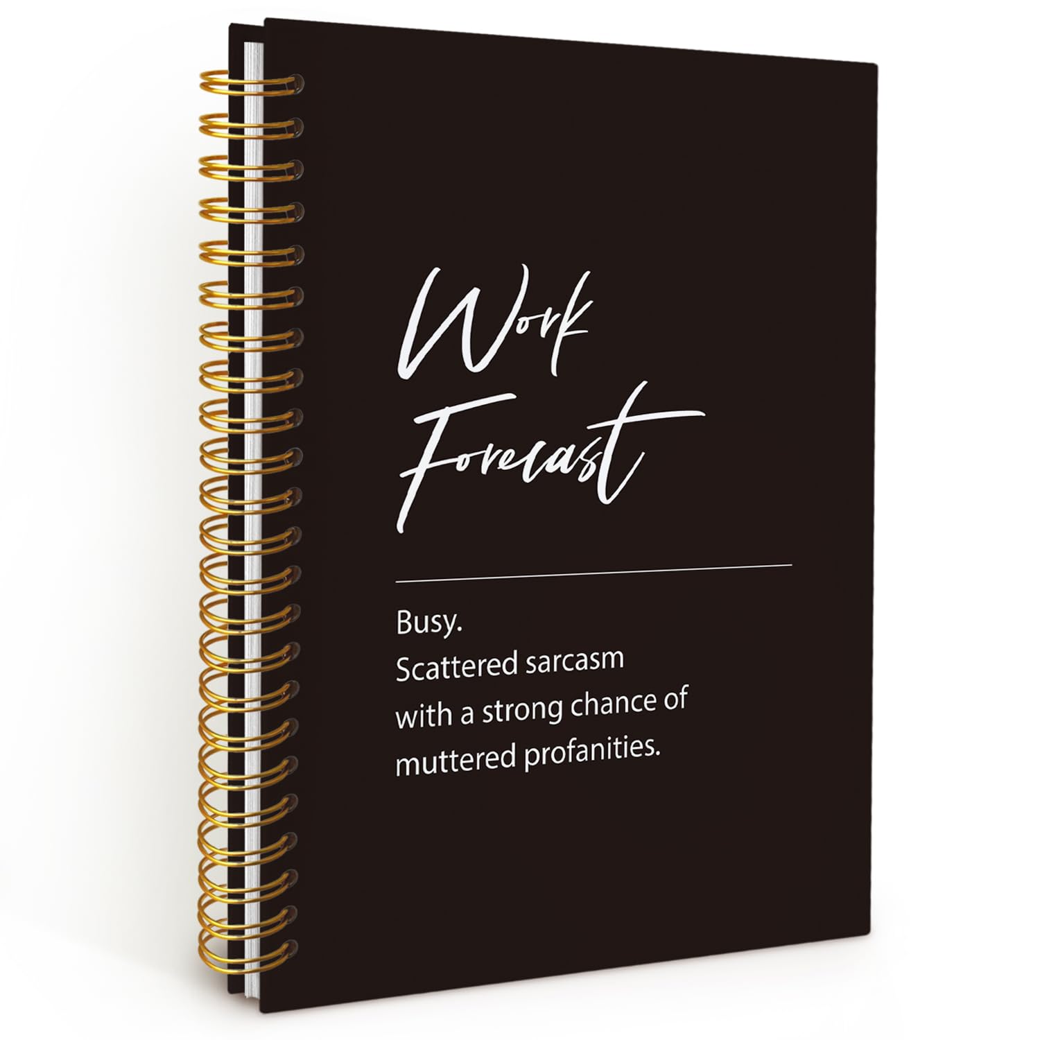 Wheatwin Divertenti forniture per ufficio, divertenti quaderni da ufficio per lavoro, quaderni divertenti regali per colleghi, diari di lavoro per uomini e donne, quaderno a spirale con copertina