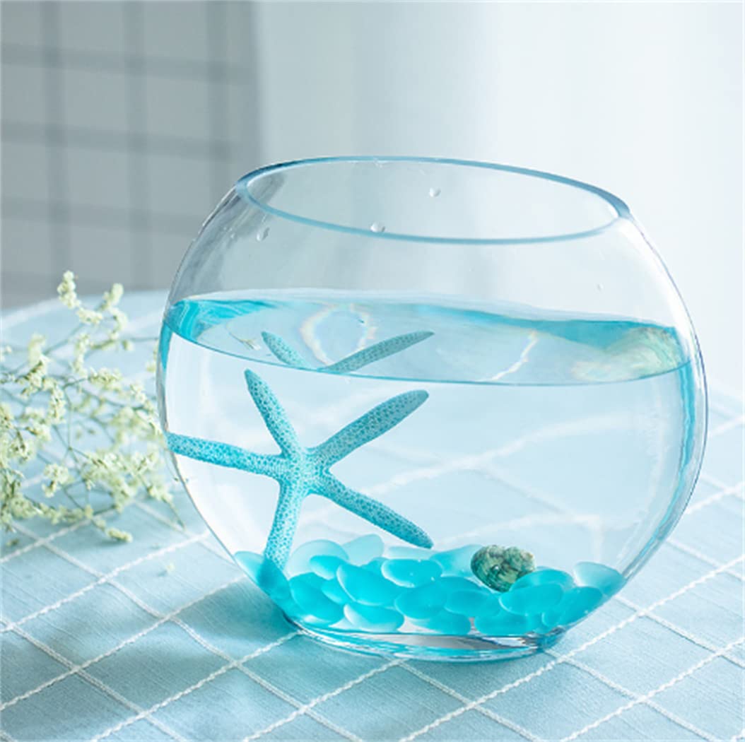Amazon | 金魚鉢 水槽 アクアリウム 金魚 ガラス 容器 ミニ オブレート