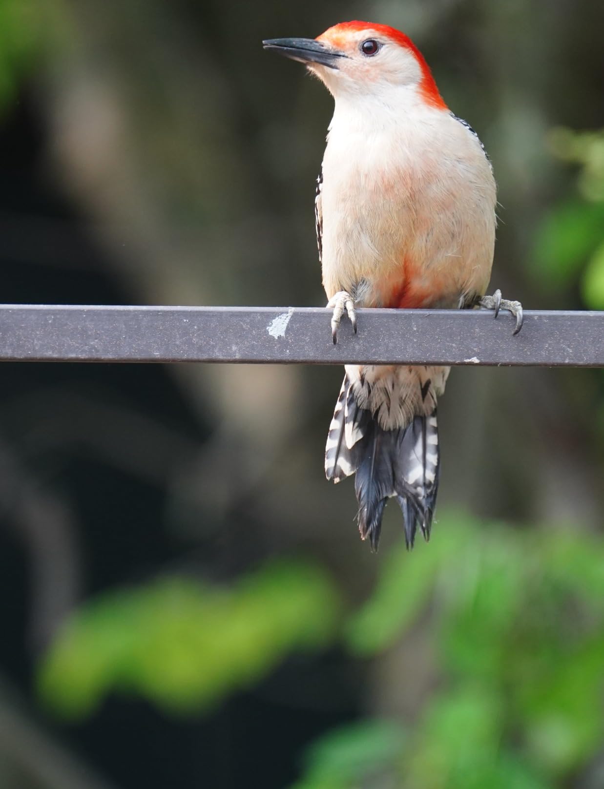 Better, lighter than predecessor (A7III) in a number of ways, less than, in a few ways.