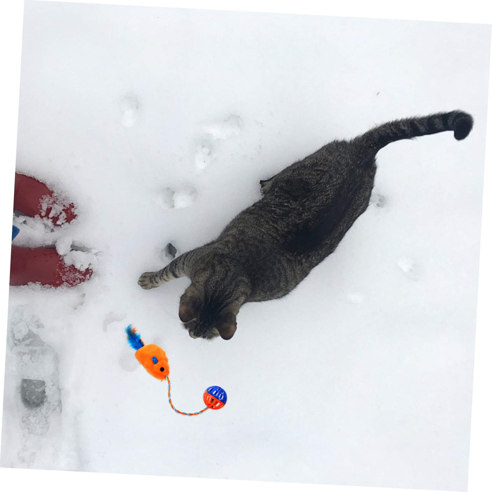 Interactif pour Chats avec Souris Peluche et Clochette Plastique à Griffer pour Chat Accessoire Exercice pour Animaux Domestiques Orange